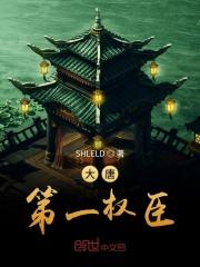 大唐第一权臣免费阅读