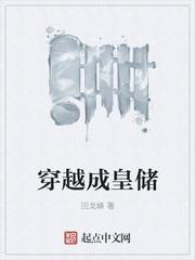 穿越当皇储 穿越当皇储