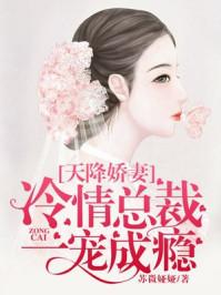 天降蜜宠高冷总裁小甜妻 天降蜜宠高冷总裁小甜妻