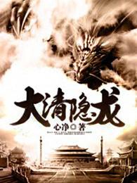 大清隐龙这本书怎么样 大清隐龙这本书怎么样