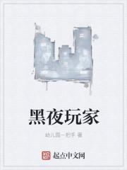 黑夜玩家第二部 黑夜玩家第二部