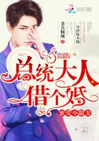 总统大人借个婚免费阅读 总统大人借个婚免费阅读