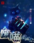 废喵喵的三号机照片 废喵喵的三号机照片