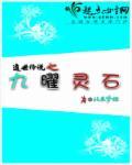 遗世传说之九曜灵石在哪 遗世传说之九曜灵石在哪