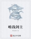 唯我剑尊全集 唯我剑尊全集