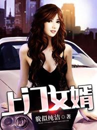 上门女婿电视剧 上门女婿电视剧