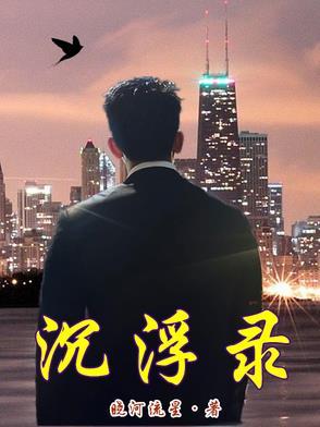 官海沉浮录 官海沉浮录