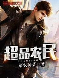 乡村超品农民txt 乡村超品农民txt