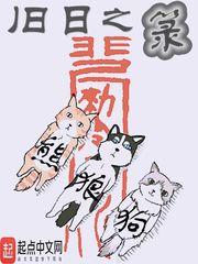 旧日之箓境界 旧日之箓境界