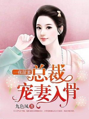 一夜甜蜜总裁宠妻入骨 第216章 一夜甜蜜总裁宠妻入骨 第216章