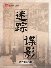 迷踪谍影起点 迷踪谍影起点