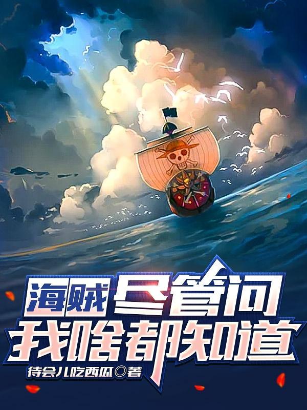 海贼王十二式 海贼王十二式