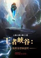 王者峡谷我真的没想盘呀 王者峡谷我真的没想盘呀