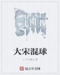 大宋混球 大宋混球