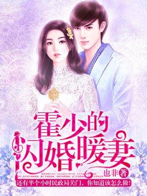 霍少的闪婚暖妻 霍少的闪婚暖妻