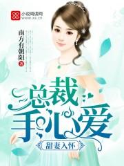 甜妻入怀:总裁手心爱 甜妻入怀:总裁手心爱