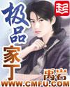 极品家丁 极品家丁