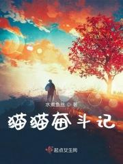 猫猫奋斗记 猫猫奋斗记